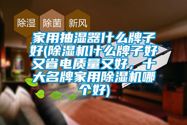 家用抽濕器什么牌子好(除濕機(jī)什么牌子好又省電質(zhì)量又好，十大名牌家用除濕機(jī)哪個(gè)好)