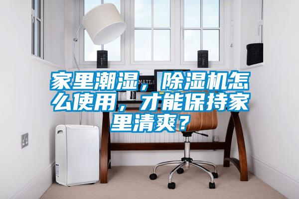 家里潮濕，除濕機(jī)怎么使用，才能保持家里清爽？