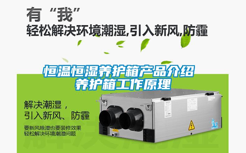 恒溫恒濕養(yǎng)護箱產品介紹 養(yǎng)護箱工作原理