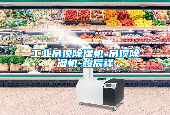 工業(yè)吊頂除濕機-吊頂除濕機-駿辰祥