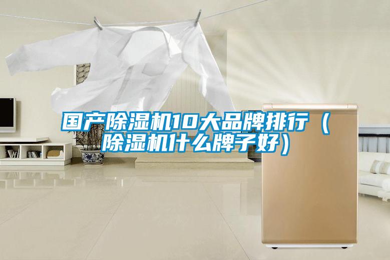 國產(chǎn)除濕機(jī)10大品牌排行（除濕機(jī)什么牌子好）