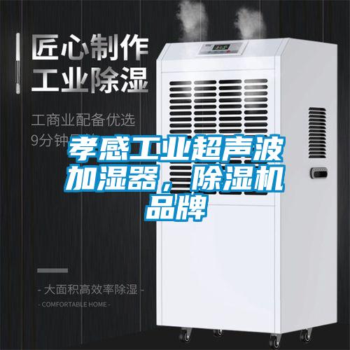 孝感工業(yè)超聲波加濕器，除濕機(jī)品牌