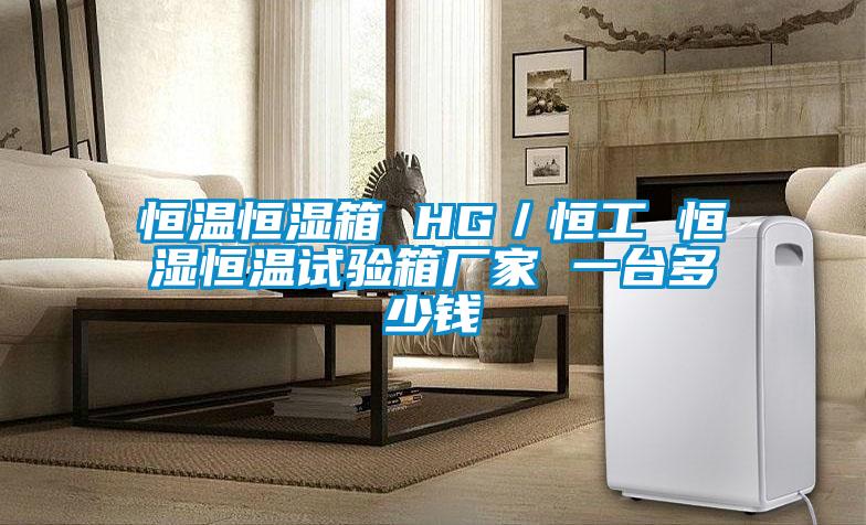 恒溫恒濕箱 HG／恒工 恒濕恒溫試驗(yàn)箱廠家 一臺多少錢