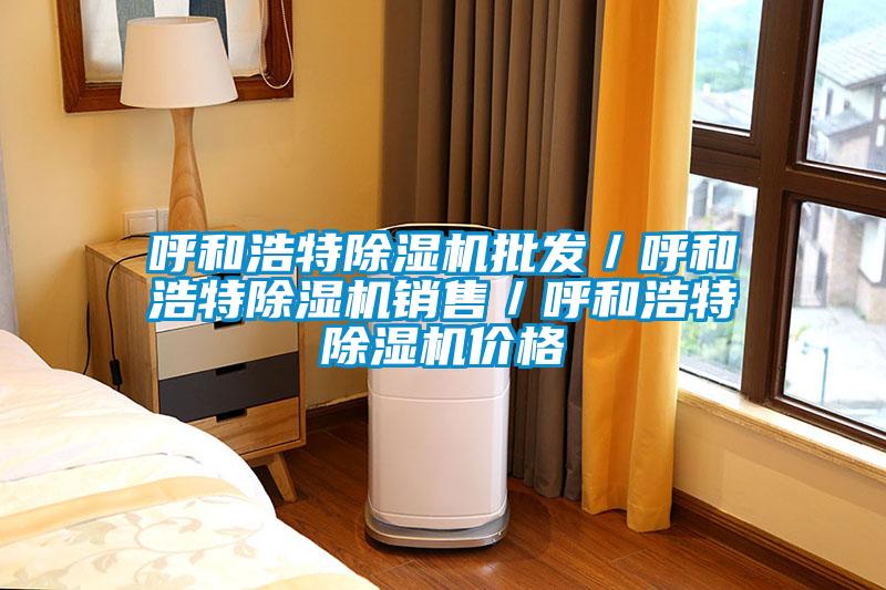 呼和浩特除濕機(jī)批發(fā)／呼和浩特除濕機(jī)銷(xiāo)售／呼和浩特除濕機(jī)價(jià)格
