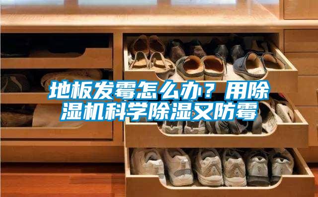 地板發(fā)霉怎么辦？用除濕機(jī)科學(xué)除濕又防霉
