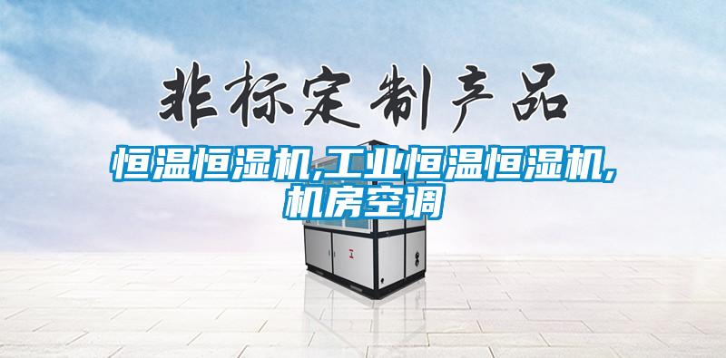 恒溫恒濕機,工業(yè)恒溫恒濕機,機房空調(diào)