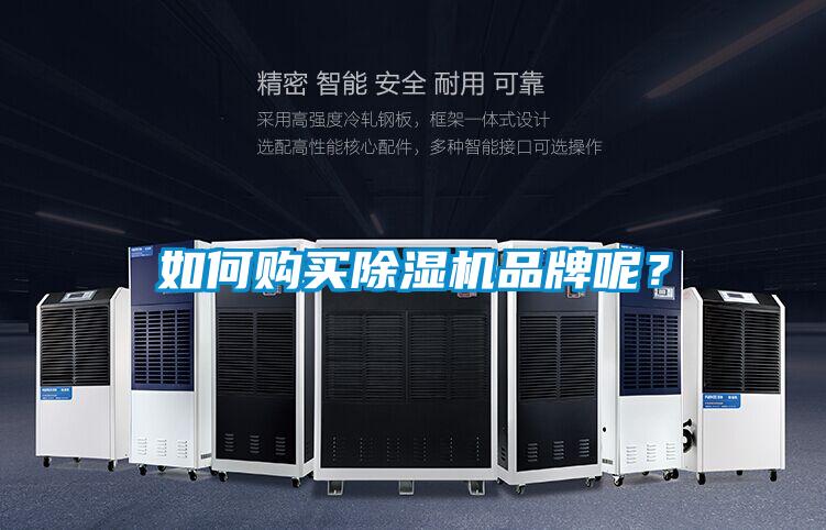 如何購(gòu)買除濕機(jī)品牌呢？