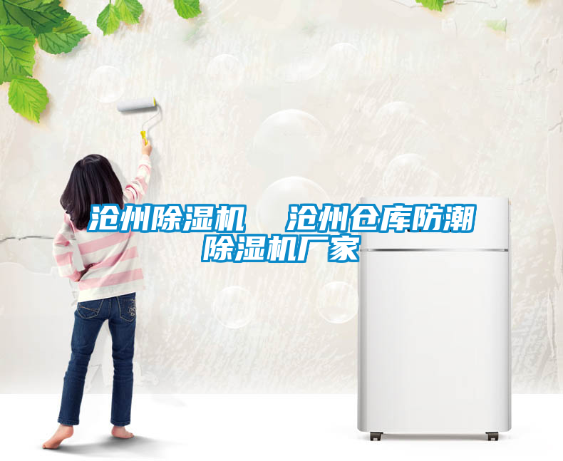 滄州除濕機(jī)  滄州倉(cāng)庫(kù)防潮除濕機(jī)廠家