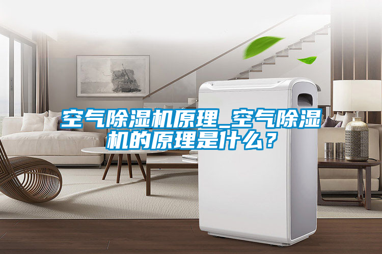 空氣除濕機(jī)原理_空氣除濕機(jī)的原理是什么？