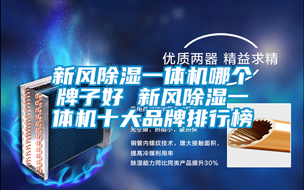 新風(fēng)除濕一體機哪個牌子好 新風(fēng)除濕一體機十大品牌排行榜