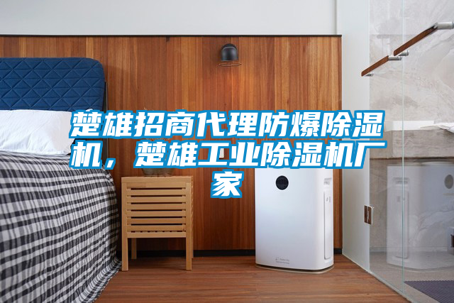 楚雄招商代理防爆除濕機(jī)，楚雄工業(yè)除濕機(jī)廠家