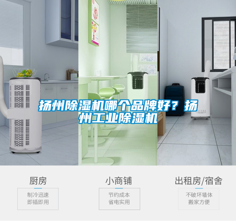 揚(yáng)州除濕機(jī)哪個(gè)品牌好？揚(yáng)州工業(yè)除濕機(jī)