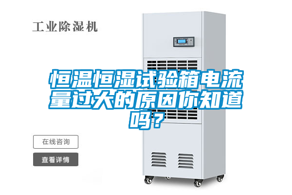 恒溫恒濕試驗箱電流量過大的原因你知道嗎？