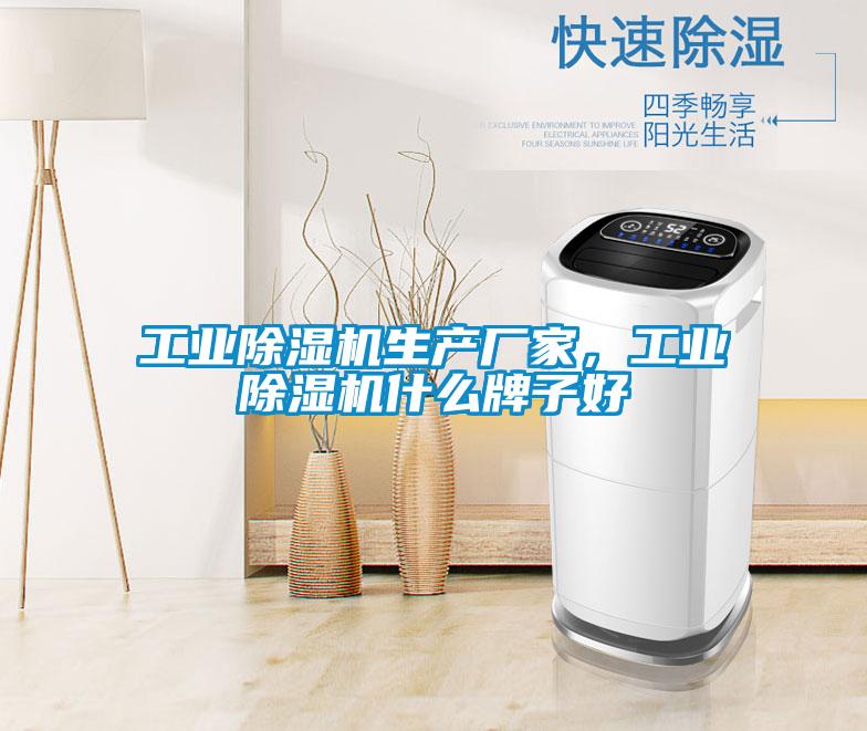 工業(yè)除濕機生產(chǎn)廠家，工業(yè)除濕機什么牌子好