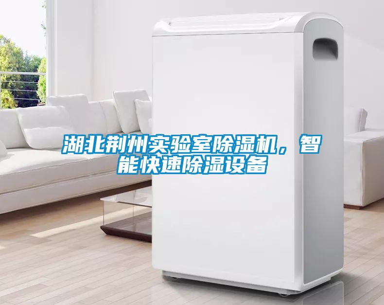 湖北荊州實驗室除濕機，智能快速除濕設(shè)備