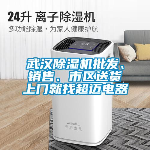武漢除濕機(jī)批發(fā)、銷售、市區(qū)送貨上門就找超邁電器