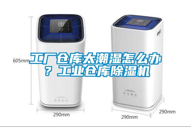 工廠倉庫太潮濕怎么辦？工業(yè)倉庫除濕機(jī)
