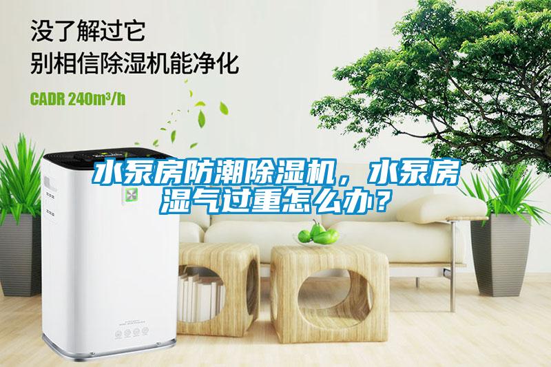 水泵房防潮除濕機(jī)，水泵房濕氣過重怎么辦？