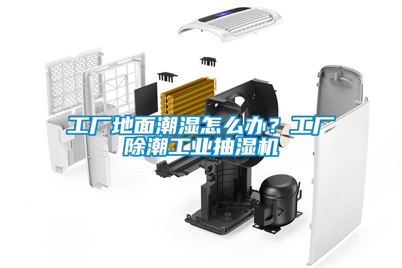 工廠地面潮濕怎么辦？工廠除潮工業(yè)抽濕機(jī)
