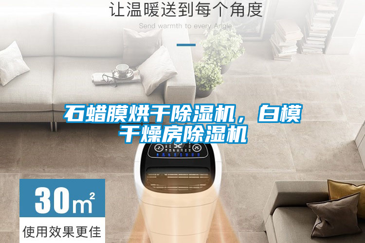 石蠟?zāi)ず娓沙凉駲C，白模干燥房除濕機