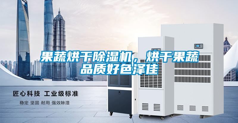 果蔬烘干除濕機(jī)，烘干果蔬品質(zhì)好色澤佳