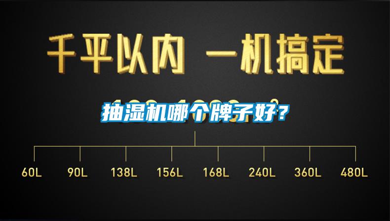 抽濕機(jī)哪個(gè)牌子好？