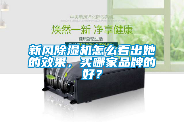 新風除濕機怎么看出她的效果，買哪家品牌的好？