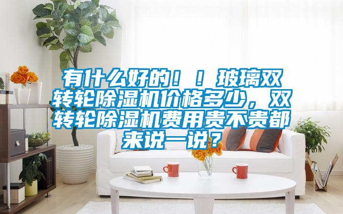 有什么好的！！玻璃雙轉(zhuǎn)輪除濕機(jī)價格多少，雙轉(zhuǎn)輪除濕機(jī)費用貴不貴都來說一說？