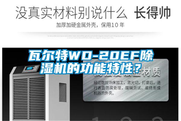 瓦爾特WD-20EF除濕機(jī)的功能特性？