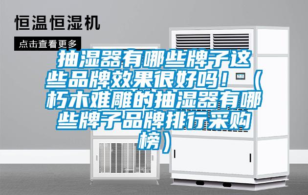 抽濕器有哪些牌子這些品牌效果很好嗎?。ㄐ嗄倦y雕的抽濕器有哪些牌子品牌排行采購榜）