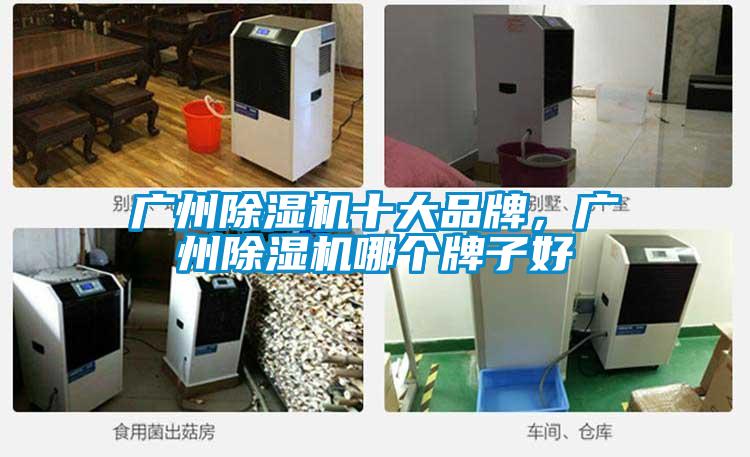 廣州除濕機(jī)十大品牌，廣州除濕機(jī)哪個(gè)牌子好