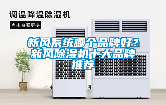 新風(fēng)系統(tǒng)哪個(gè)品牌好？新風(fēng)除濕機(jī)十大品牌推薦