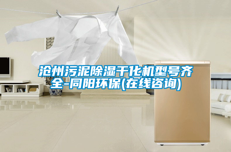 滄州污泥除濕干化機型號齊全-同陽環(huán)保(在線咨詢)
