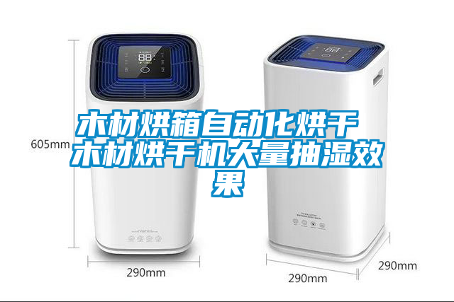 木材烘箱自動(dòng)化烘干 木材烘干機(jī)大量抽濕效果
