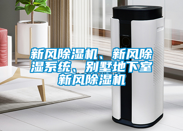 新風(fēng)除濕機(jī)、新風(fēng)除濕系統(tǒng)、別墅地下室新風(fēng)除濕機(jī)