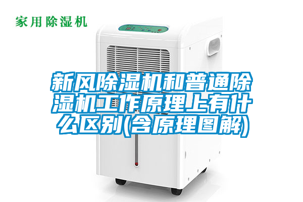 新風(fēng)除濕機和普通除濕機工作原理上有什么區(qū)別(含原理圖解)