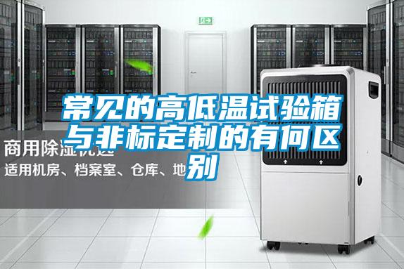 常見的高低溫試驗箱與非標定制的有何區(qū)別