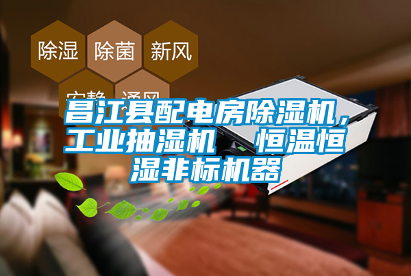 昌江縣配電房除濕機(jī)，工業(yè)抽濕機(jī)  恒溫恒濕非標(biāo)機(jī)器