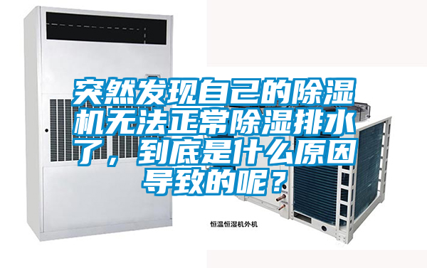 突然發(fā)現(xiàn)自己的除濕機(jī)無法正常除濕排水了，到底是什么原因?qū)е碌哪兀?/></p>
						    <p style=