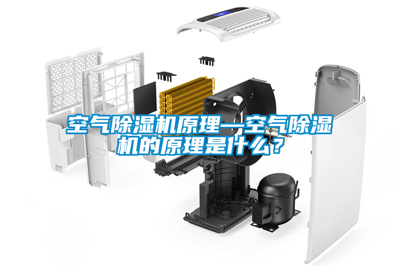 空氣除濕機(jī)原理—空氣除濕機(jī)的原理是什么？