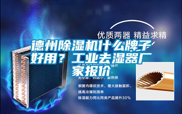 德州除濕機什么牌子好用？工業(yè)去濕器廠家報價