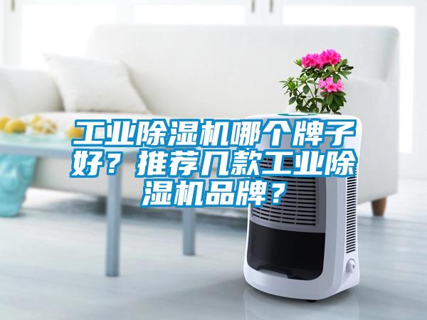 工業(yè)除濕機(jī)哪個(gè)牌子好？推薦幾款工業(yè)除濕機(jī)品牌？