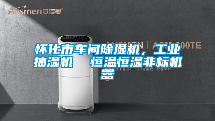 懷化市車間除濕機(jī)，工業(yè)抽濕機(jī)  恒溫恒濕非標(biāo)機(jī)器