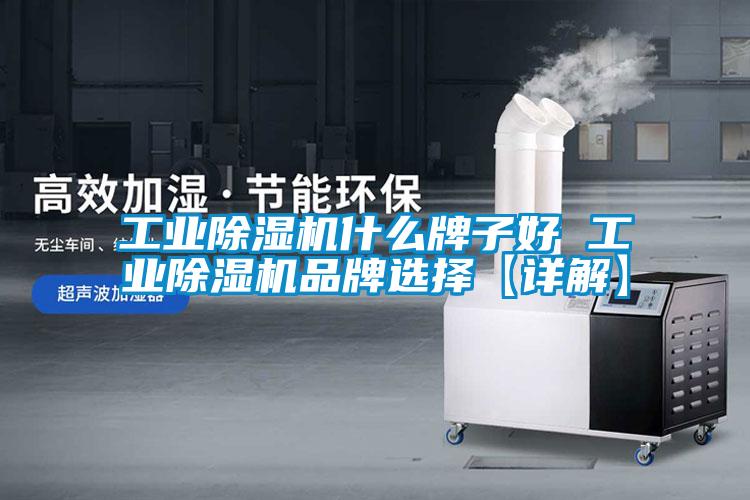工業(yè)除濕機(jī)什么牌子好 工業(yè)除濕機(jī)品牌選擇【詳解】