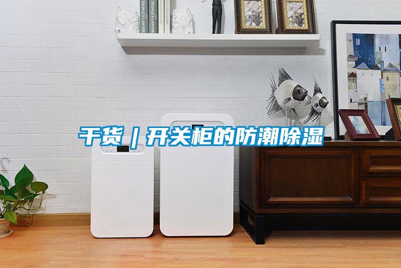 干貨︱開(kāi)關(guān)柜的防潮除濕