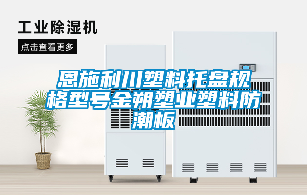 恩施利川塑料托盤(pán)規(guī)格型號(hào)金朔塑業(yè)塑料防潮板