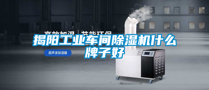揭陽工業(yè)車間除濕機什么牌子好