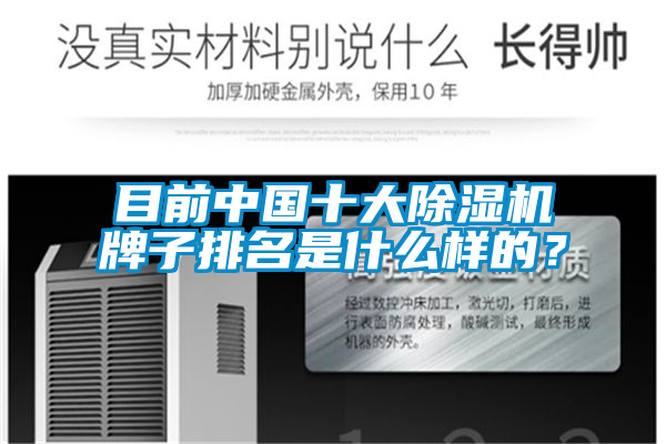 目前中國十大除濕機牌子排名是什么樣的？