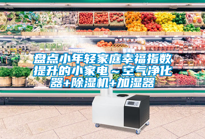 盤(pán)點(diǎn)小年輕家庭幸福指數(shù)提升的小家電～空氣凈化器+除濕機(jī)+加濕器