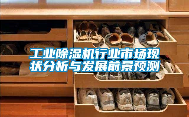 工業(yè)除濕機(jī)行業(yè)市場現(xiàn)狀分析與發(fā)展前景預(yù)測